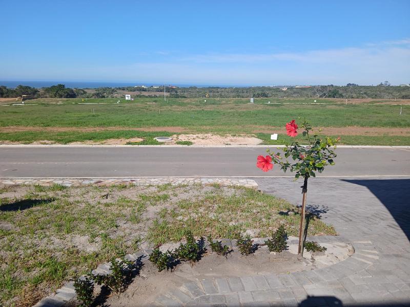 3 Bedroom Property for Sale in Stilbaai Wes Western Cape